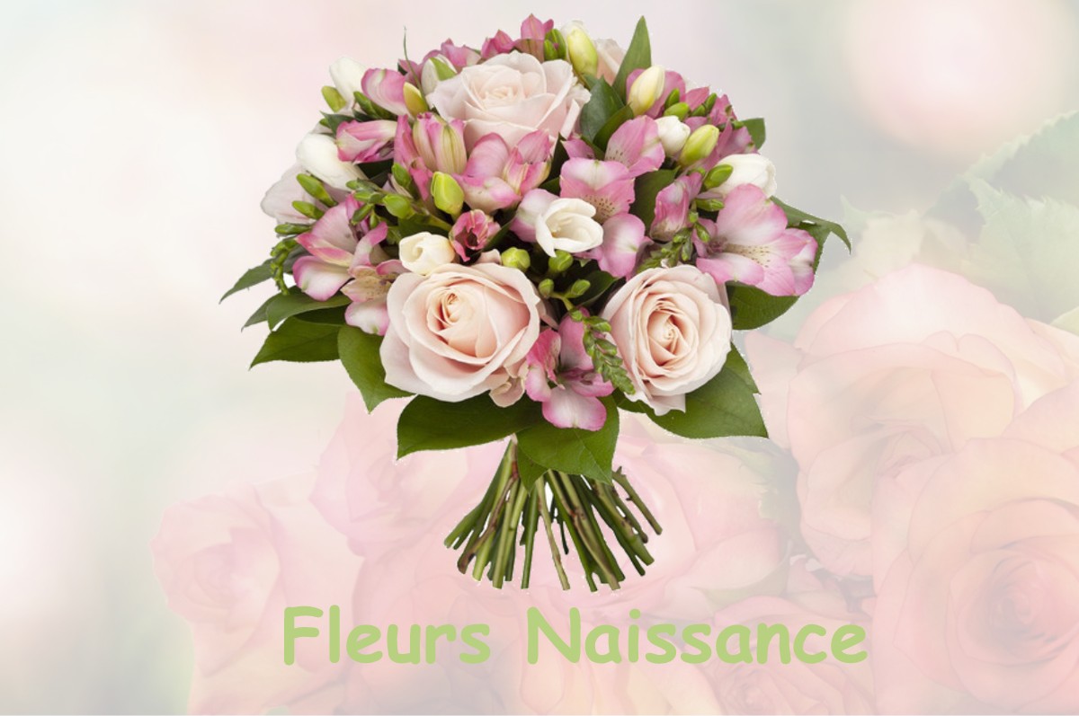 fleurs naissance BUCY-LE-ROI