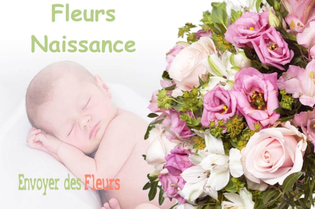 lIVRAISON FLEURS NAISSANCE à BUCY-LE-ROI